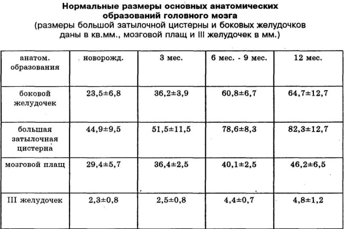 нормы размеров основных анатомических структур головного мозга нормы размеров основных анатомических структур головного мозга