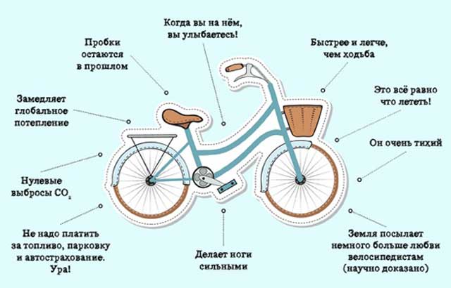 Преимущества езды на велосипеде Преимущество езды на велосипеде
