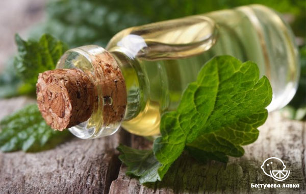Масло мелиссы Эфирное масло мелиссы
