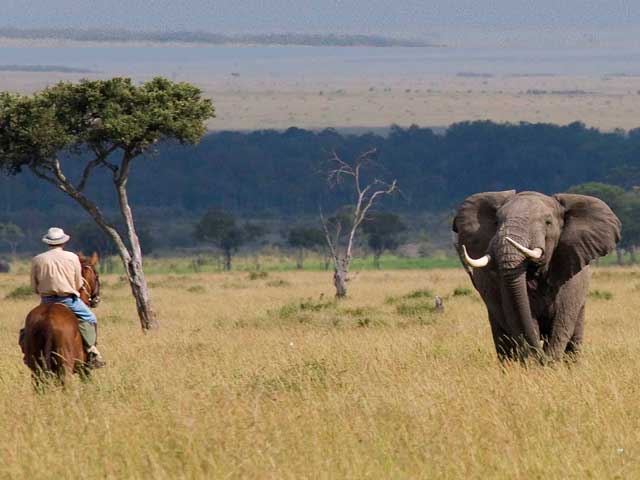 Экотуризм на лошадях в Кении Ride Kenya Mara. Экотуризм в Кении