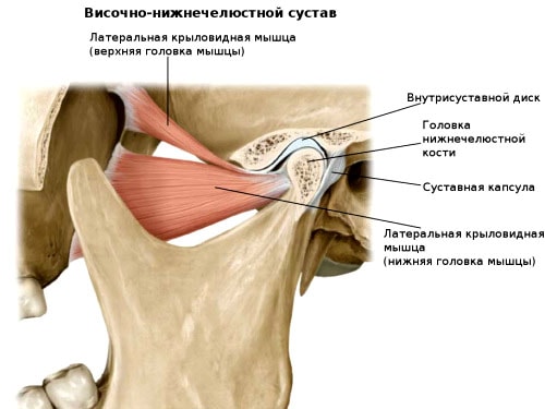 Височно-нижнечелюстного сустава: где находится Воспаление височно-нижнечелюстного сустава