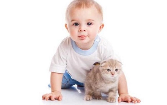 ребенок и котенок