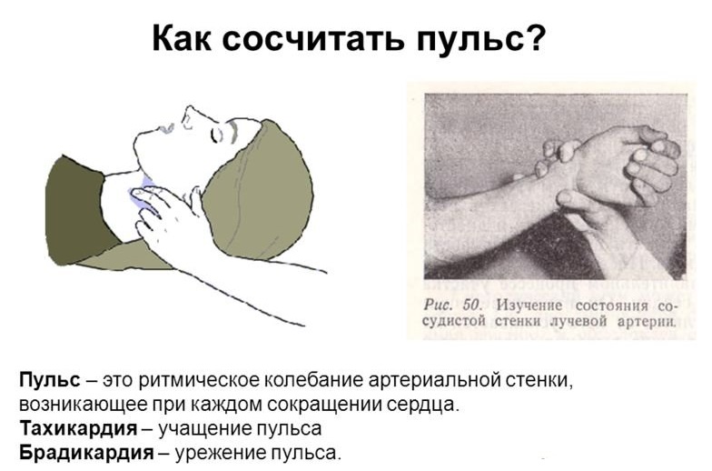 Как сосчитать пульс
