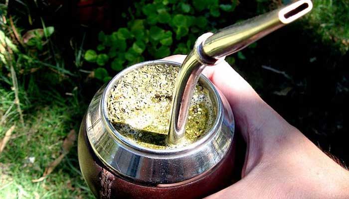 Зеленый чай мате польза и вред Чай мате польза и вред