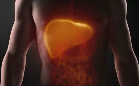 Диффузно дистрофические поражения печени Признаки диффузных изменений паренхимы печени