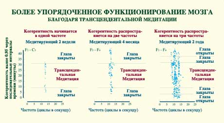 Функционирование мозга после медитации Функционирование мозга после медитации