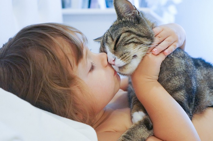 Девочка и любимый кот Девочка с котом