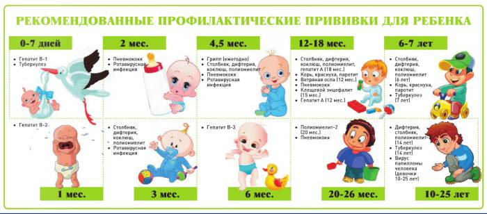 рекомендованные прививки для ребенка Рекомендованные прививки