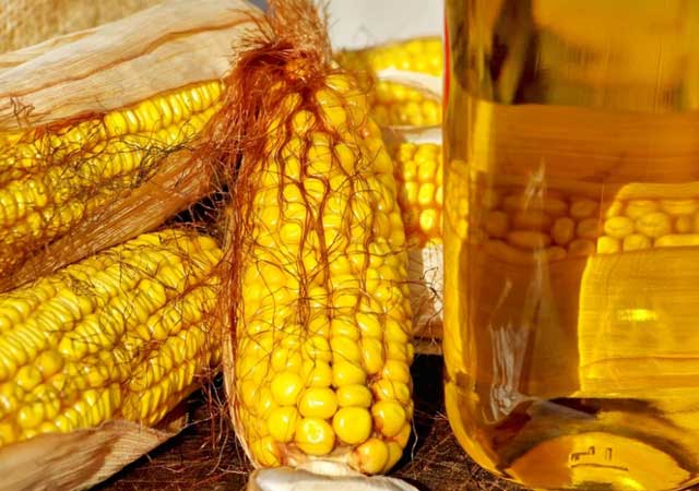 Кукурузное масло: отзывы Как принимать кукурузное масло, отзывы