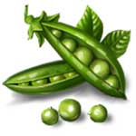 Как сушить горох в домашних условиях Как сушить горох на зиму