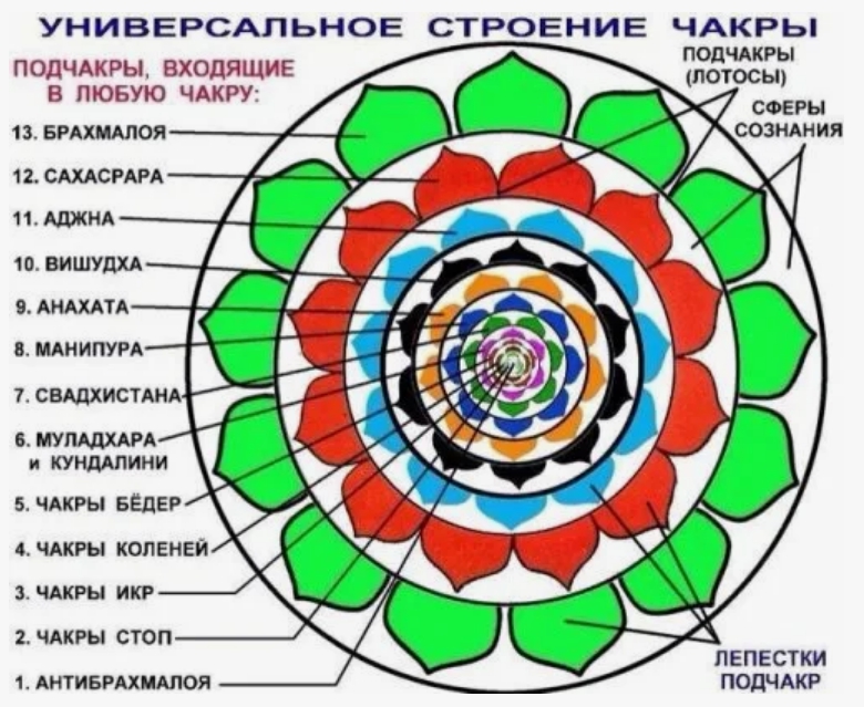 Как работают чакры их строение вращение и функции Как работают чакры их строение вращение и функции
