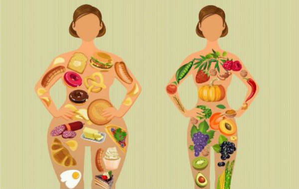 Мы - то, что едим Продукты для метаболизма