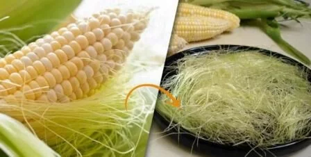 Кукурузные рыльца Жировая печень: лечение народными средствами