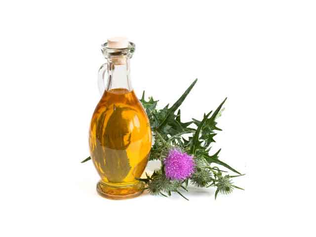 Полезные свойства масла расторопши Полезные свойства масла расторопши для организма. Применение
