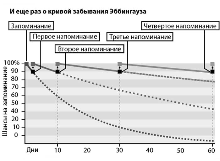 Методика повторения Эббингауза Повторение Эббингауза