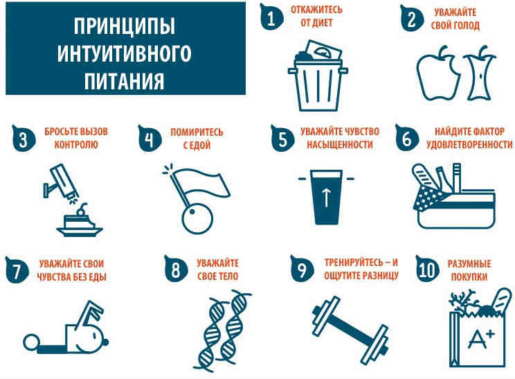 Принципы интуитивного питания Принципы и правила интуитивного питания