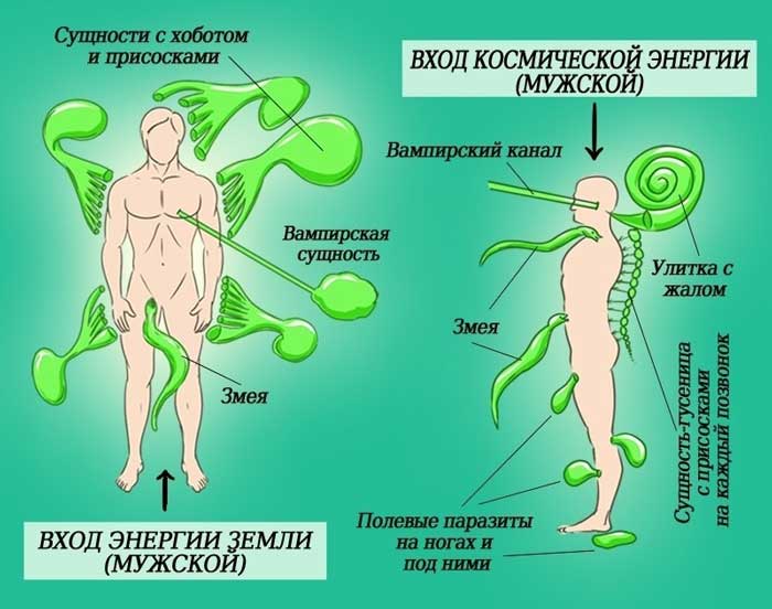 Лярвы, как сущности признаки и проявление Признаки лярвы в человеке