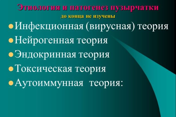 Виды пузырчаток Теория пузырчаток
