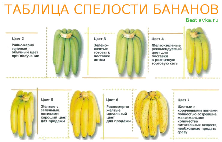 Как определить спелость бананов