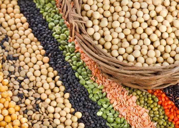 В каких продуктах растительный белок, таблица Таблица продуктов с растительным белком