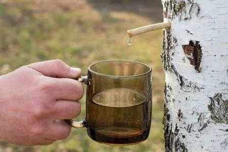 Как вывести песок в почках у женщин народными средствами Песок в почках: симптомы у женщин лечение
