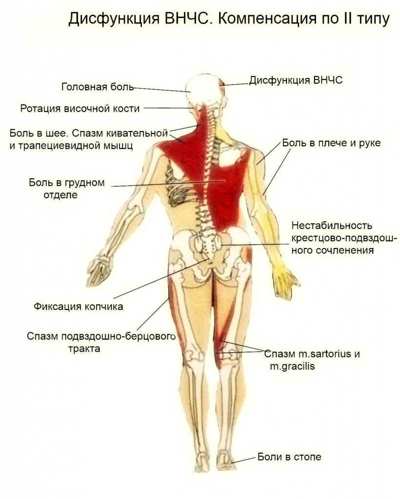 От скрежета зубов может проявится синдром височно-нижнечелюстного сустава Появление синдрома височно-нижнечелюстного сустава