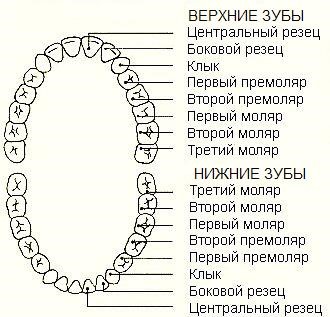 очередность на фото